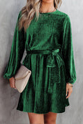 Green Crinkle Velvet Tie Waist Puff Sleeve Mini Dress