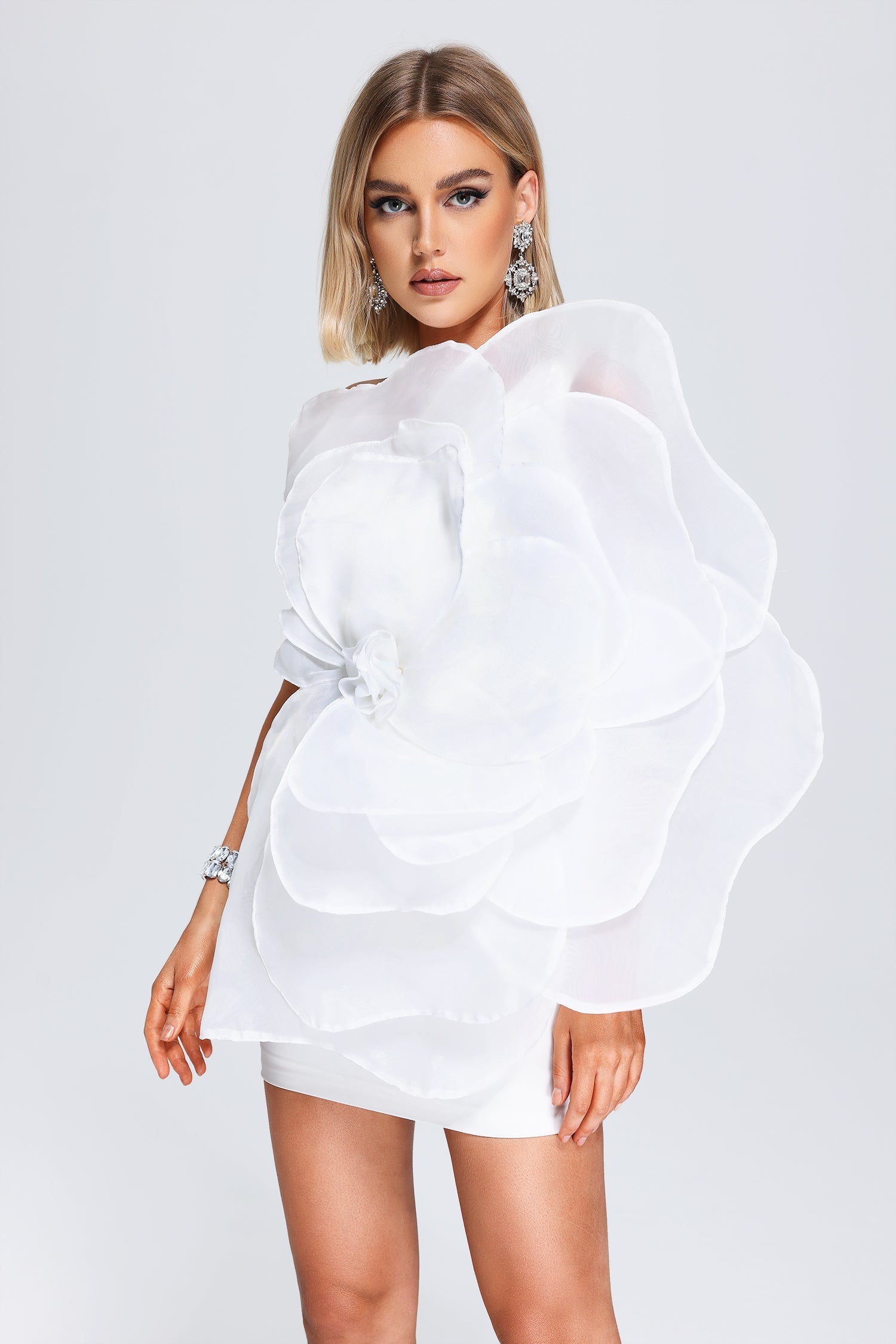 Kylie Mesh Floral Mini Tube Dress