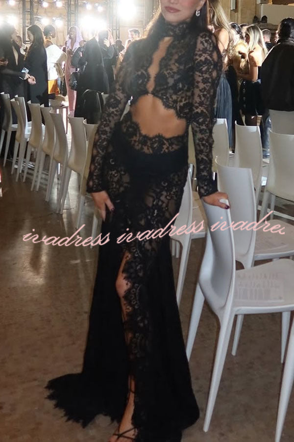 Dark Night Charm Sheer Lace Cutout Long Sleeve Stretch Maxi Dress