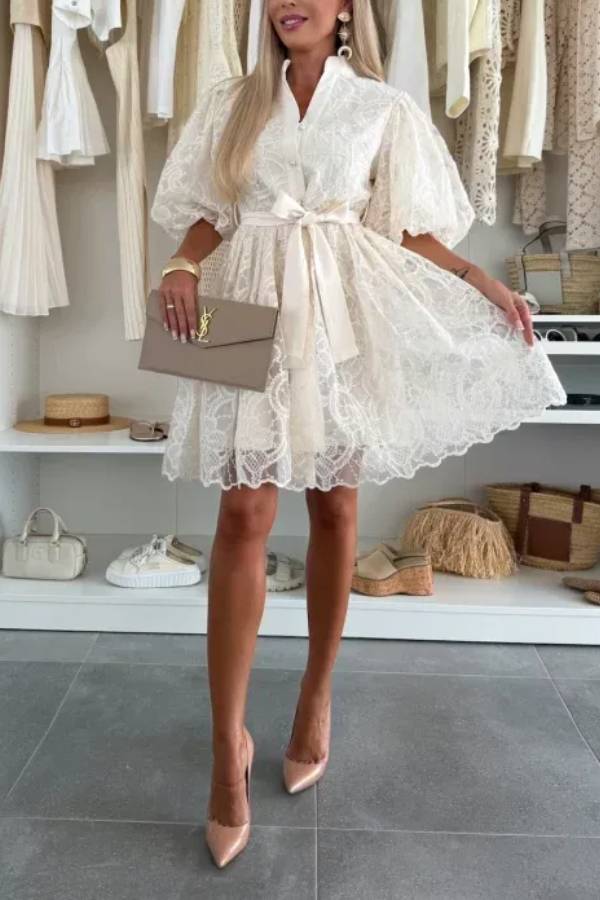 Summer Romance Embroidery Lace Puff Sleeve Button Tie-up Mini Dress