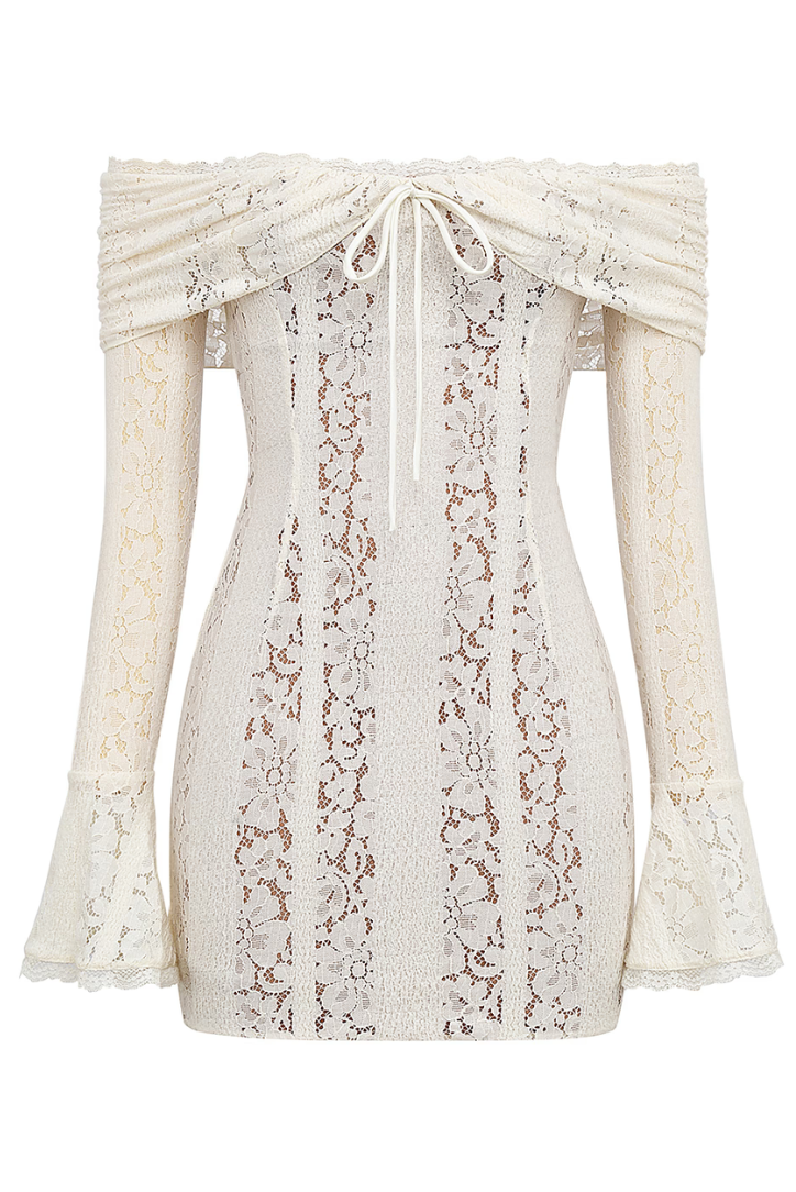 Anaya | Lace Mini Dress