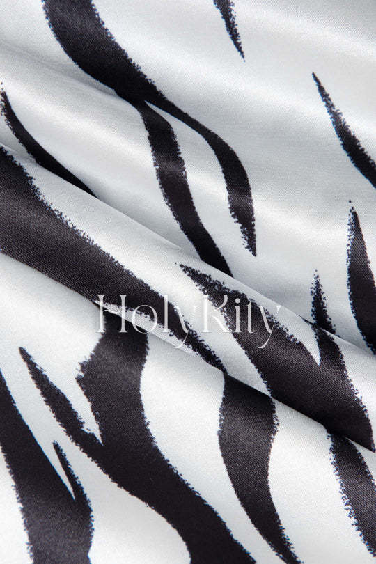 Zebra-stripe Print Long Sleeve Wrap Tie Mini Dress