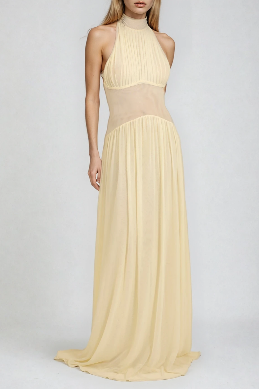 Dzidris Halter Neck Ruch Mesh Maxi Dress