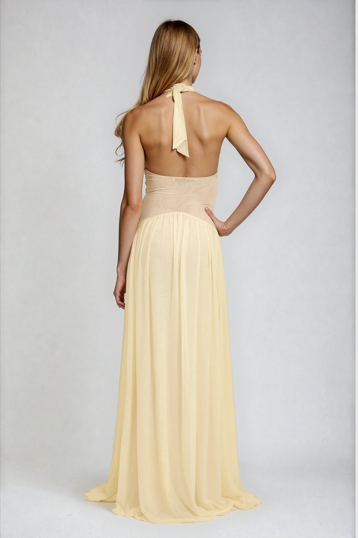 Dzidris Halter Neck Ruch Mesh Maxi Dress