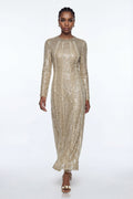 Eliud Sequin Mesh Maxi Dress