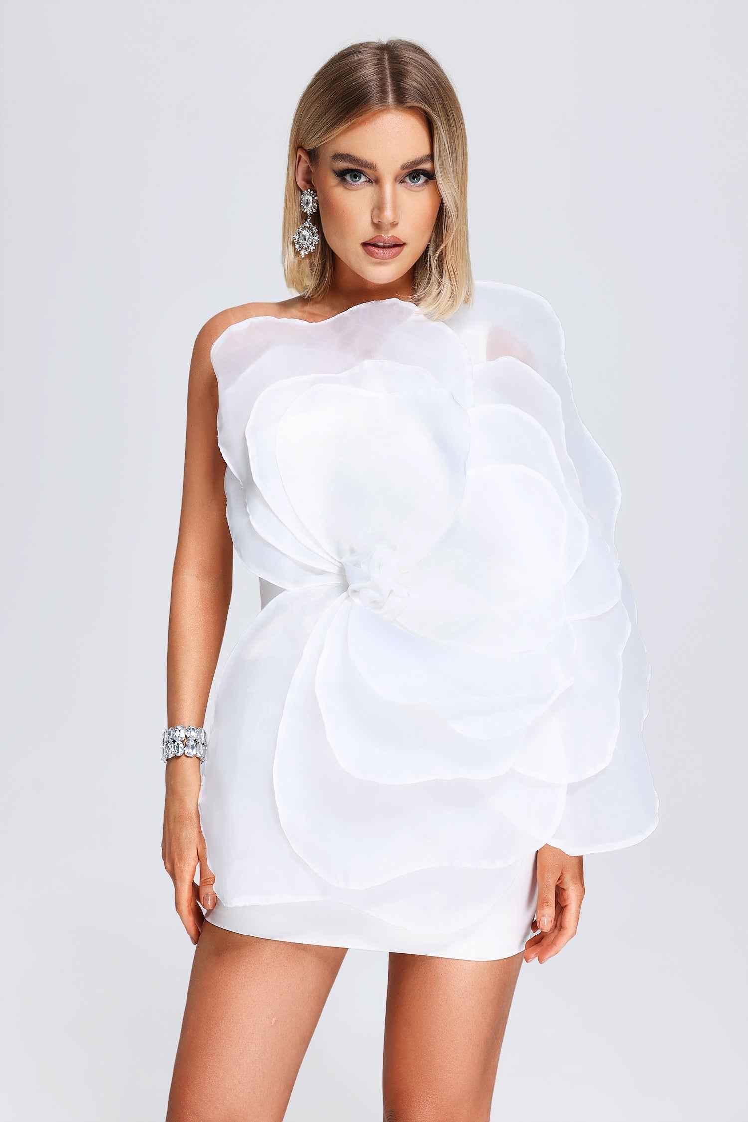 Kylie Mesh Floral Mini Tube Dress