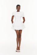 Pexelle Shawl Ruffle Lace Mini Dress