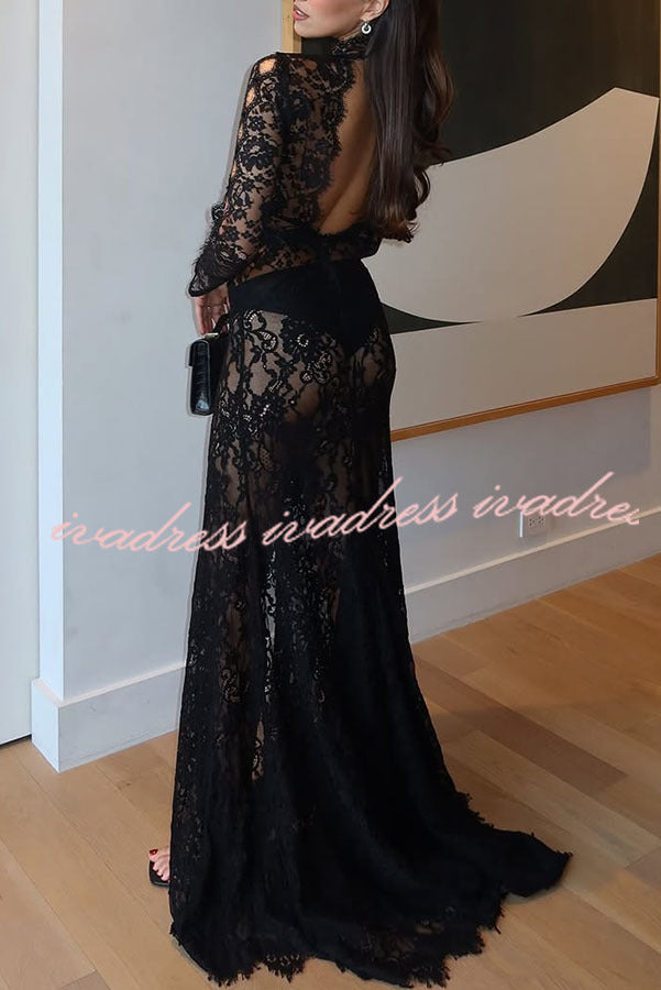 Dark Night Charm Sheer Lace Cutout Long Sleeve Stretch Maxi Dress