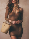 Sheer Mesh Long Sleeve Mini Dress